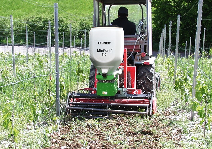 Gras-Sowing grass seed